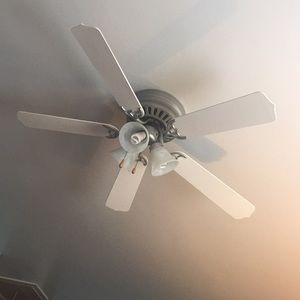 Meet your Posher, Jane